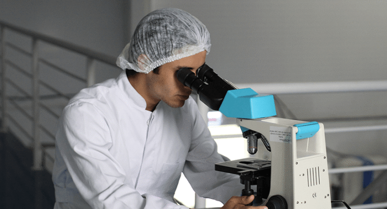 The Best Doctor Services